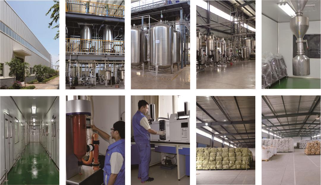 factory.jpg