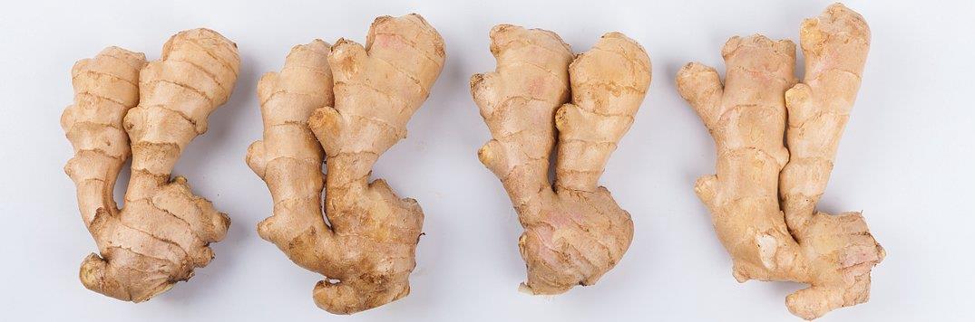 ginger extract ginger extract