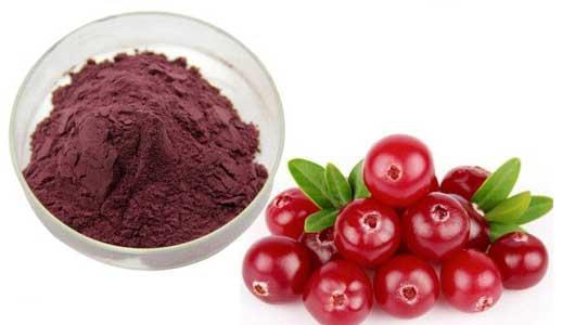 cranberry extract