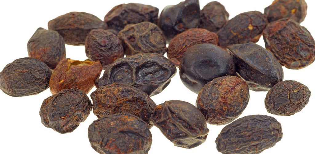 product_saw-palmetto product_saw-palmetto