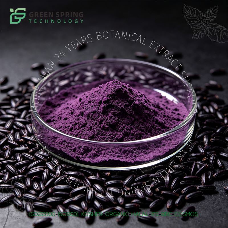 Black Rice Extract Powder