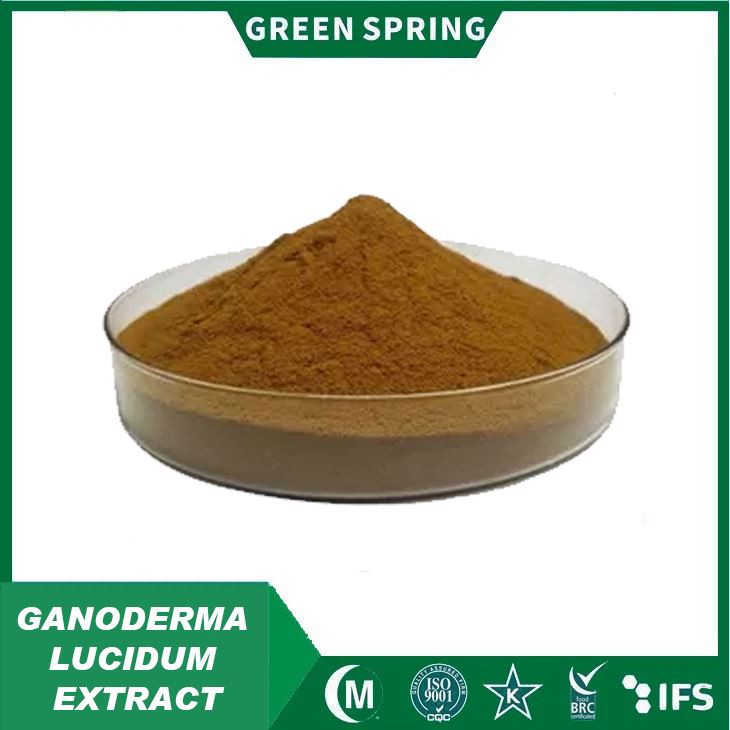 Ganoderma Lucidum Extract Powder