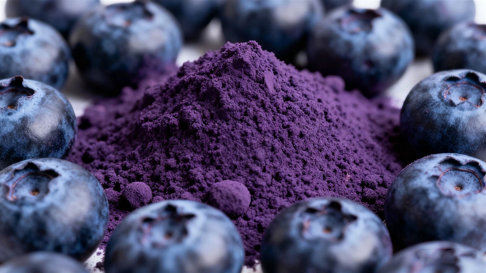 Blueberry-Powder Blueberry-Powder