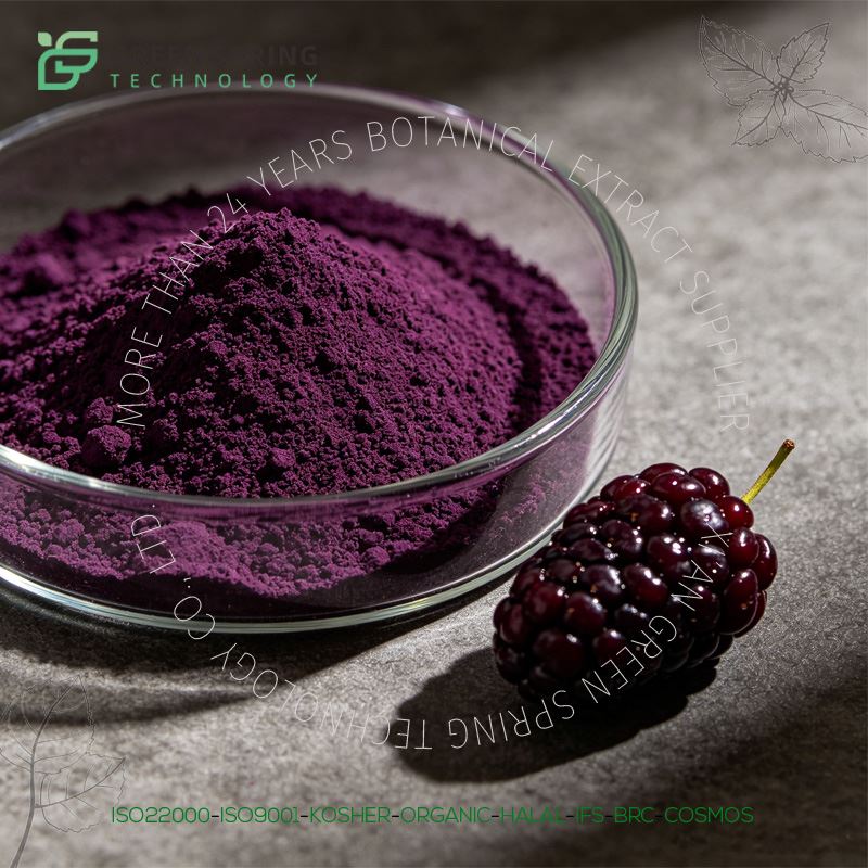 Mulberry Fruit Extract Powder