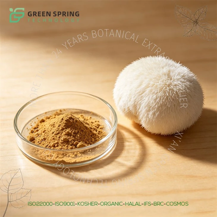 Lion's Mane Mushroom Extract Powder
