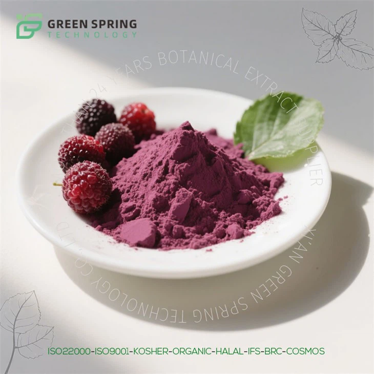 Mulberry Extract Powder
