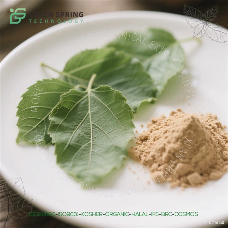 Mulberry Leaf Extract Powder
