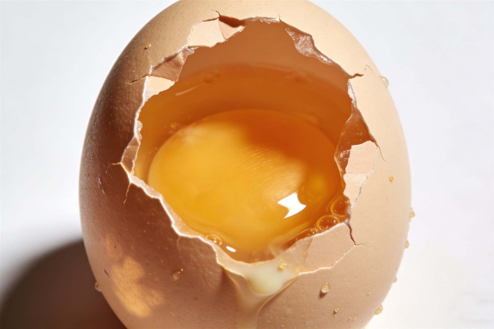 natural-Paprika-Oleoresin