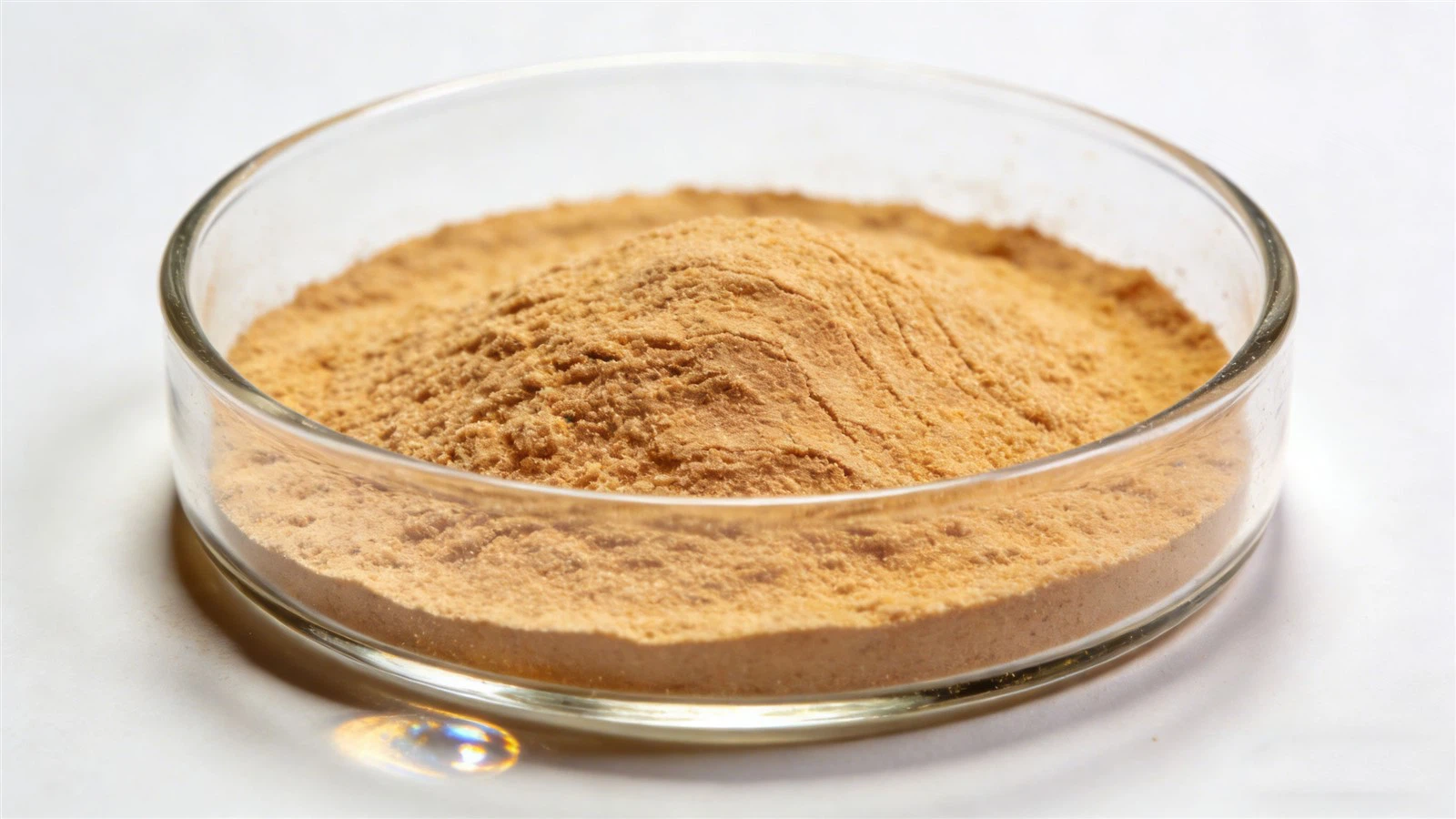 Premium-Milk-Thistle-Extract-Powder Premium-Milk-Thistle-Extract-Powder