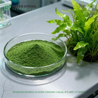 Chlorella Powder