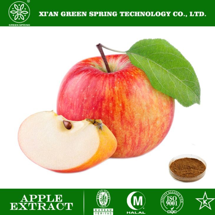Apple Extract Powder