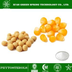 Phytosterol Powder