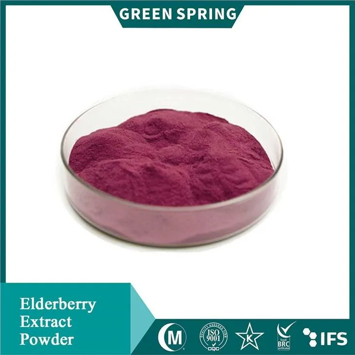 Elderberry Extract Powder Elderberry Extract Powder