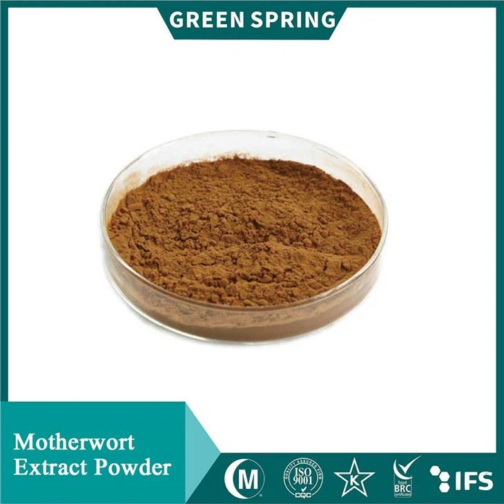 Motherwort Extract Powder