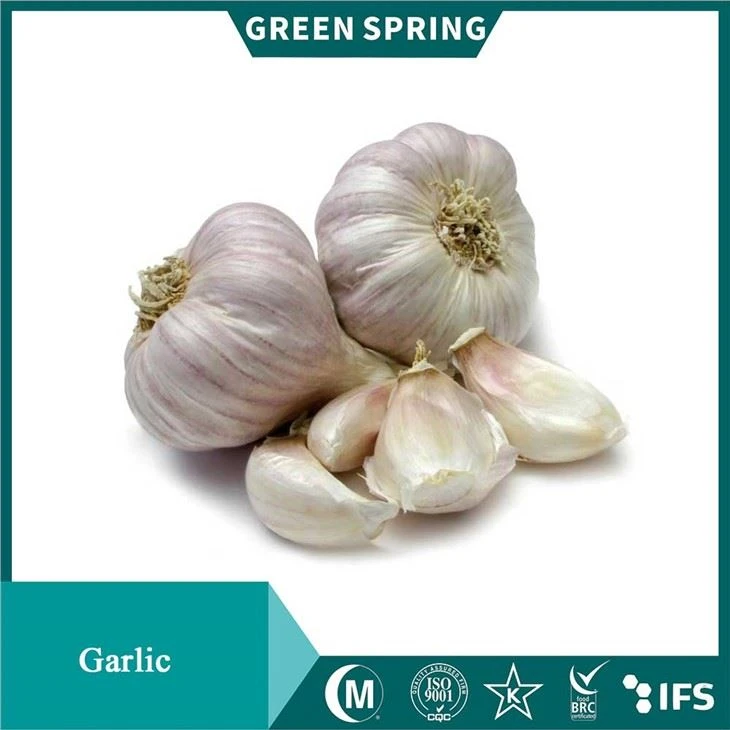 Garlic Garlic