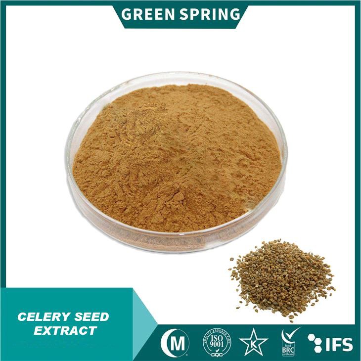 Celery Seed Extract Powder