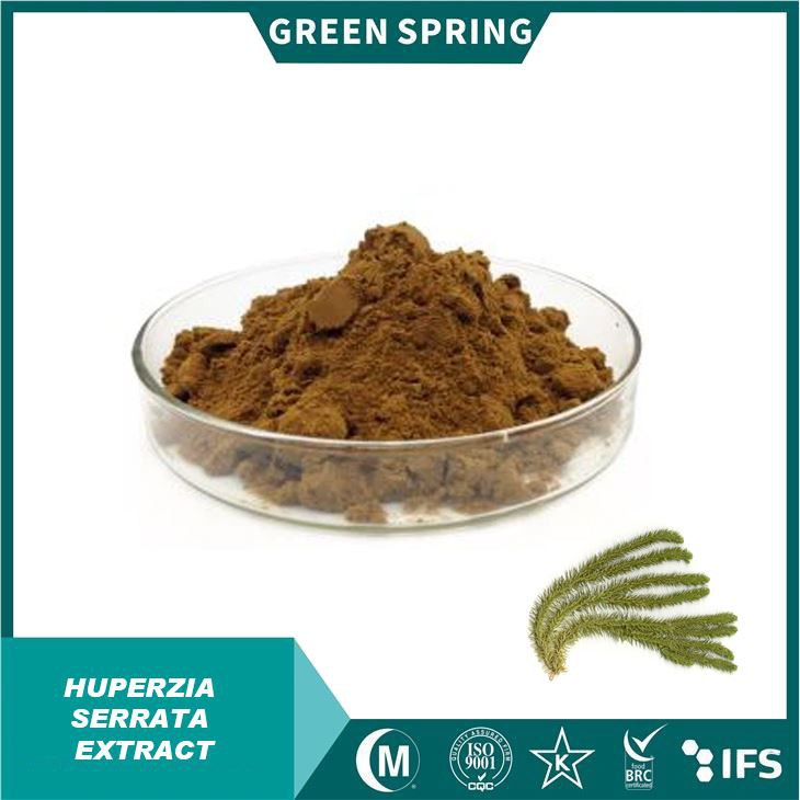 Huperzia Serrata Extract Powder