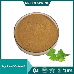 Lvy Leaf Extract Powder